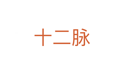 十二脉