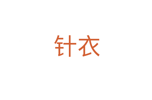 针衣