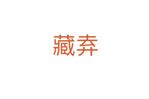 藏弆