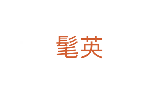 髦英