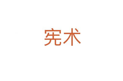 宪术