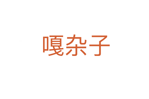 嘎杂子