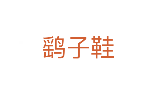 鹞子鞋