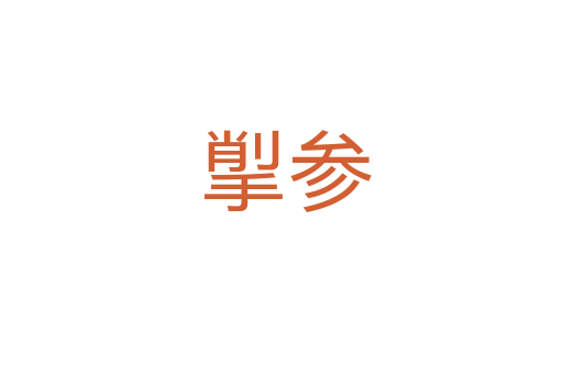 揱参
