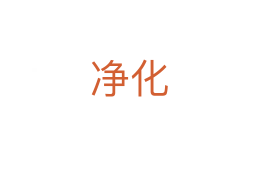 净化