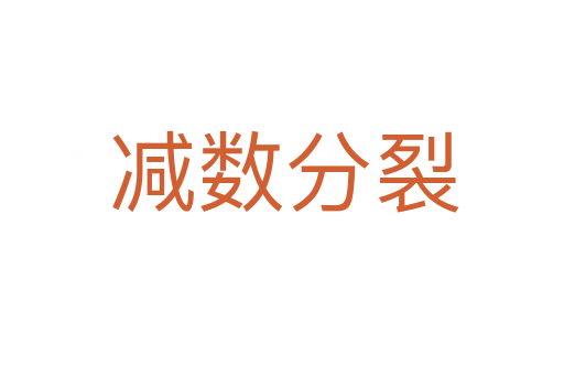减数分裂