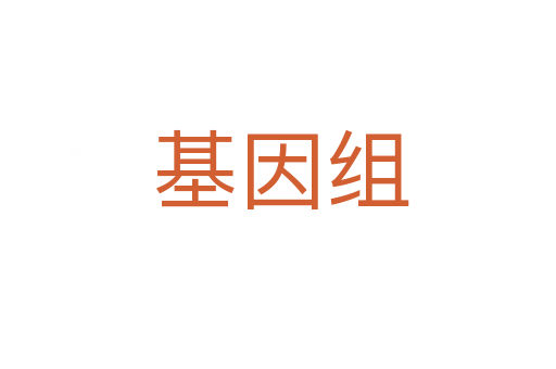 基因组