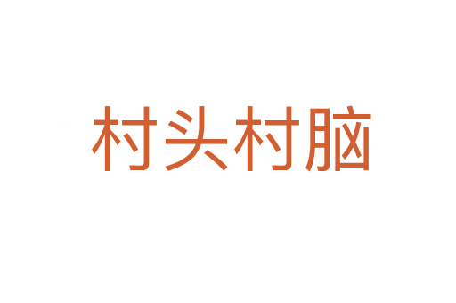 村头村脑