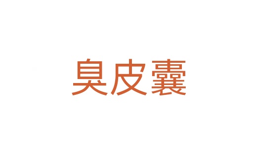 臭皮囊
