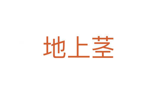 地上茎