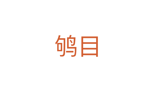 鸲目