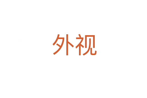 外视