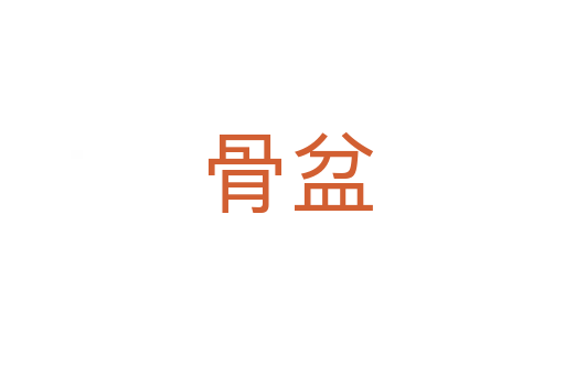 骨盆