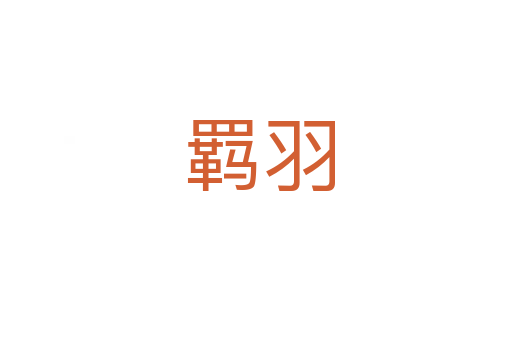 羁羽