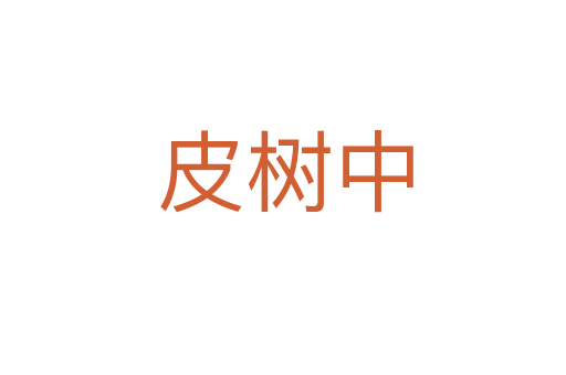 皮树中