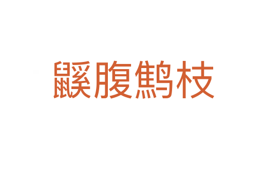鼷腹鹪枝