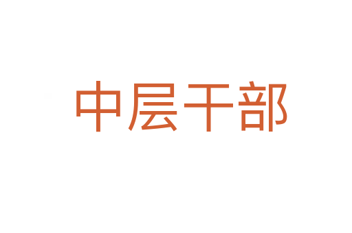 中层干部