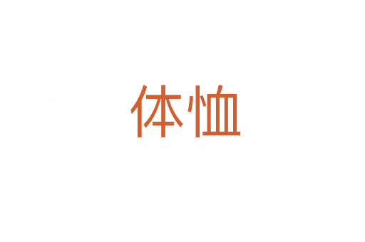 体恤