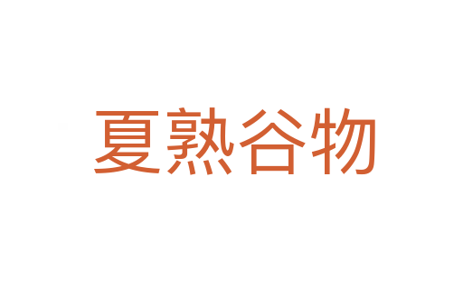 夏熟谷物