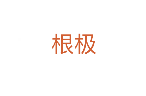 根极