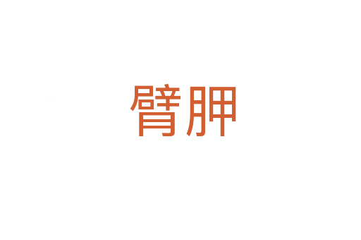 臂胛