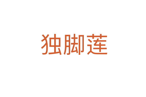 独脚莲