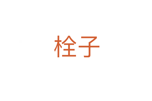 栓子