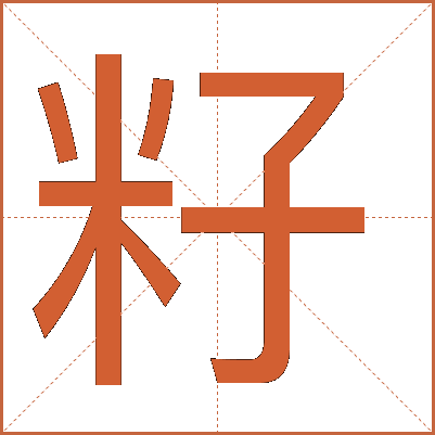 籽