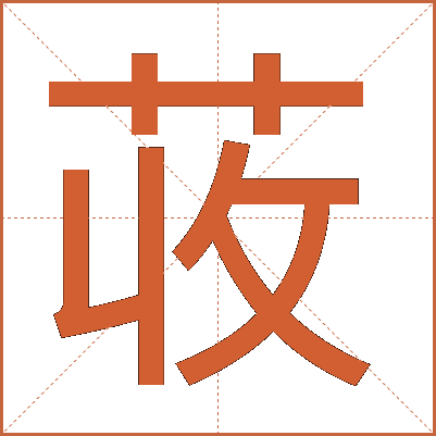 荍
